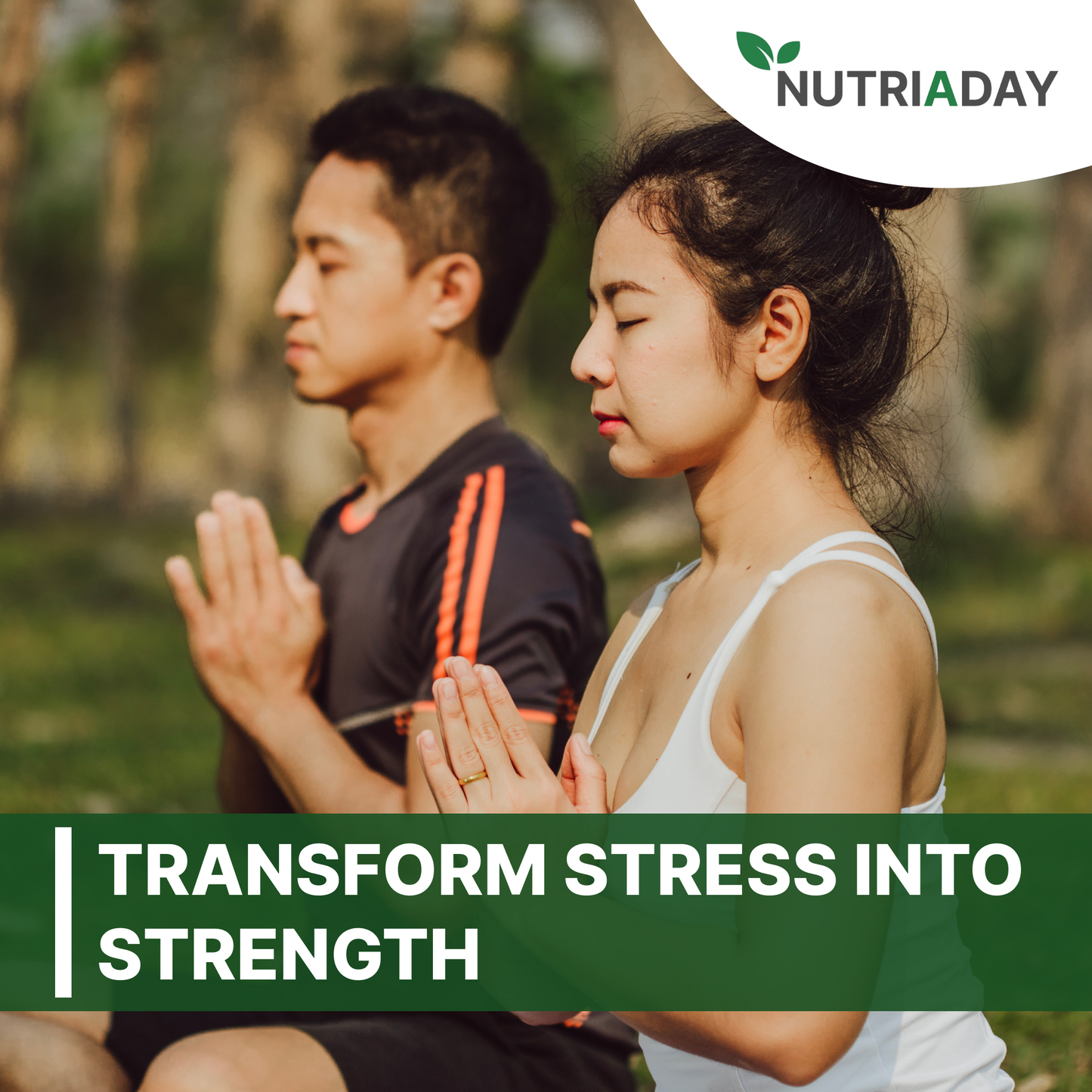 Magnesium Plus with Magnesium Glycinate